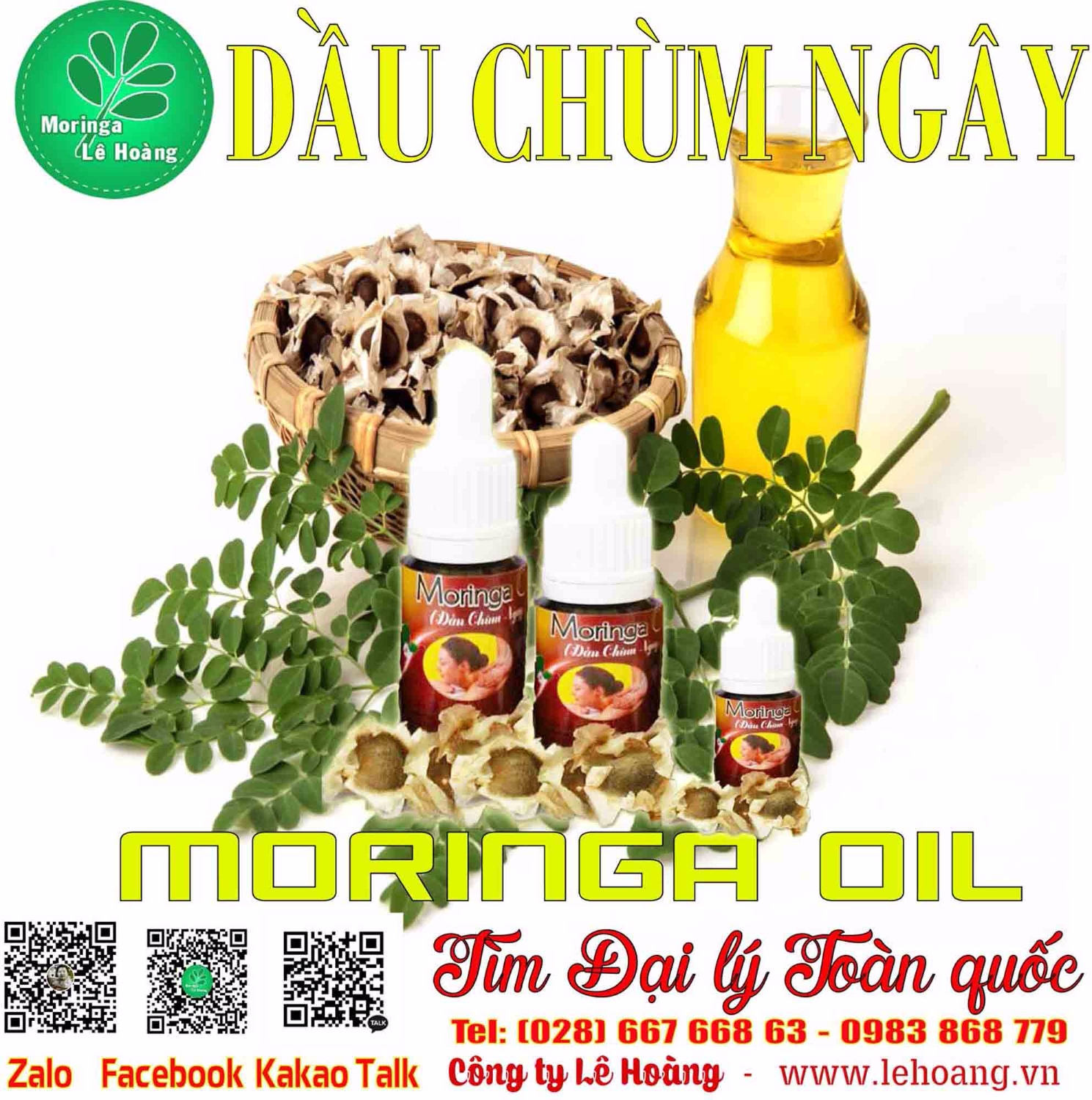 Dầu Chùm ngây (Moringa Seed Oil)