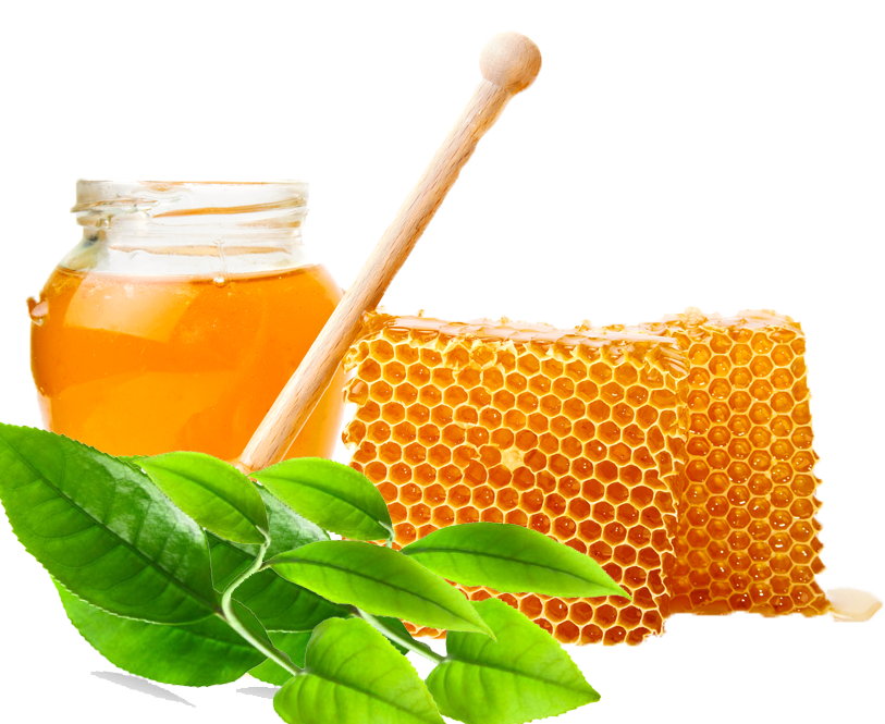 Tác dụng của mật ong và trà xanh1